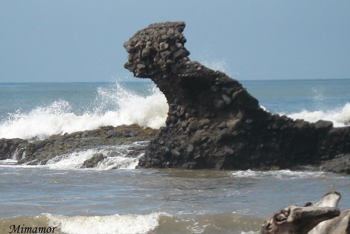 AIRPORT - PLAYA SUNZAL, EL ZONTE, EL TUNCO, ATAMI AND PALMARCITO - Photo 1 of 5